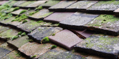 Warfield roof repair costs
